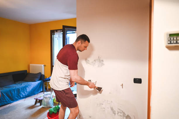 Hartford, CT Mold Removal Company